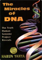 Miracles of DNA